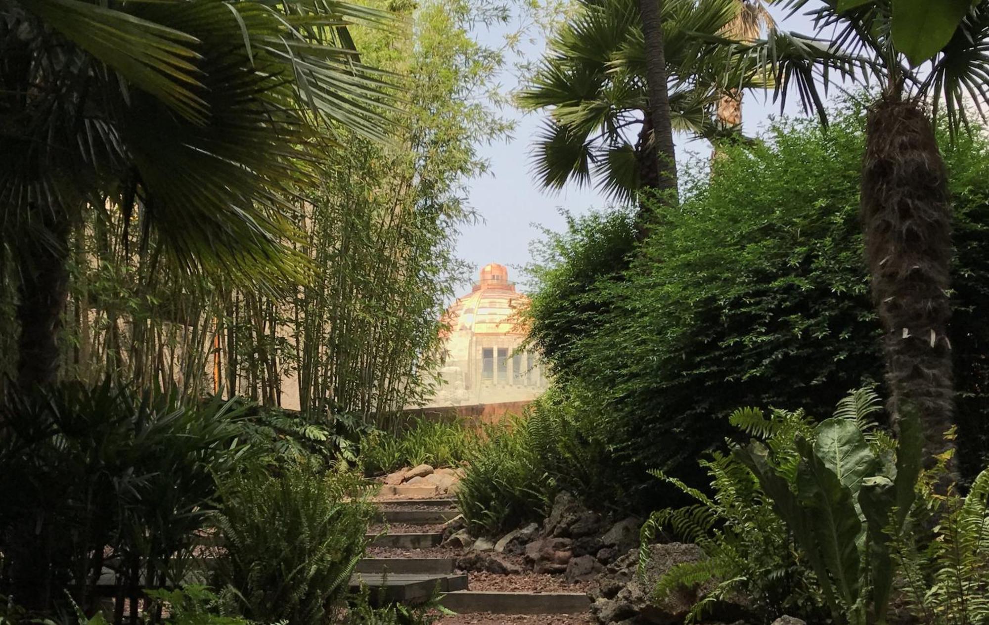 Villa Reforma By Kukun مدينة مكسيكو المظهر الخارجي الصورة